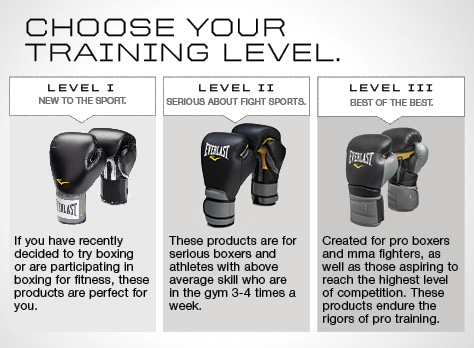 everlast leather pro 3 boxing gloves