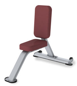 Paramount Fitness Line Triceps Seat