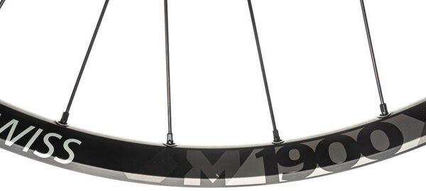 DT Swiss M 1900 SPLINE 30 29