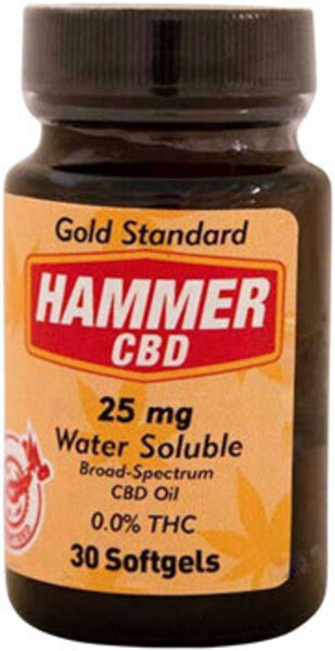 Hammer Nutrition Hammer Hemp CBD Softgels - 25mg, 30 Softgels