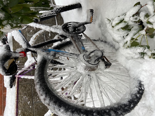 a couple of bikes frozen in snow and ice