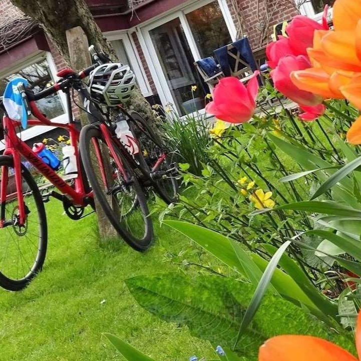 Bikes and Tulips