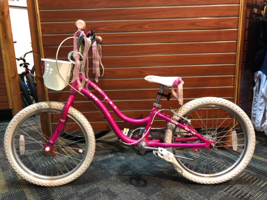 Trek USED Trek Mystic 20\