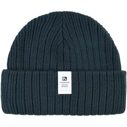 Fly Low FORECASTER BEANIE