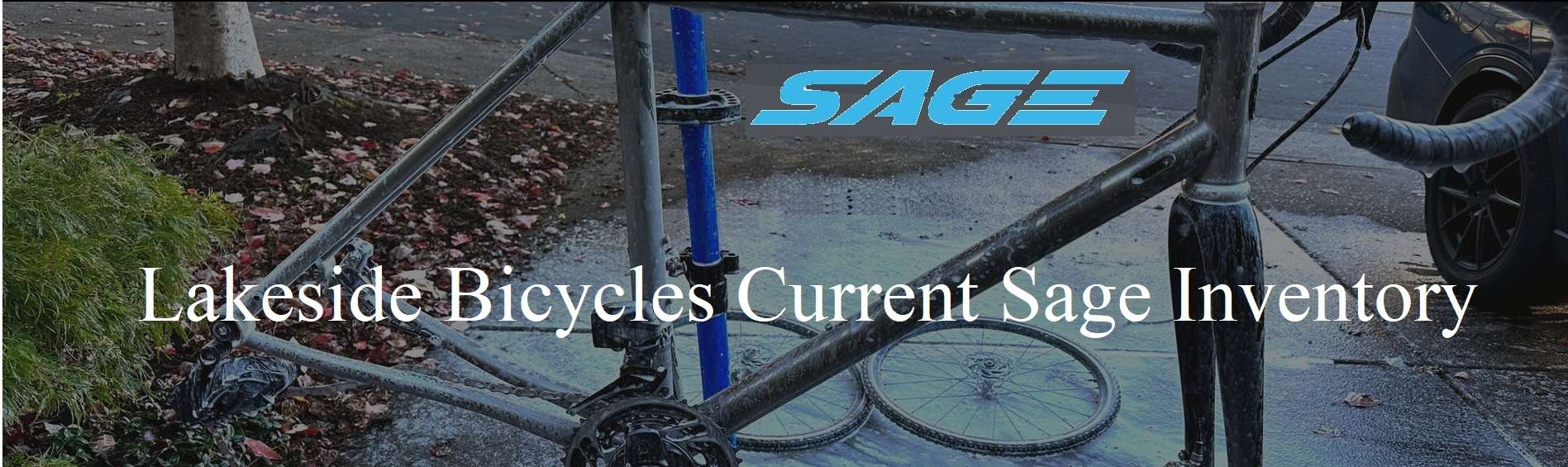 Lakeside Bicycles Current Sage Inventory