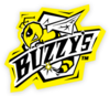 Link to the Buzzy's home page