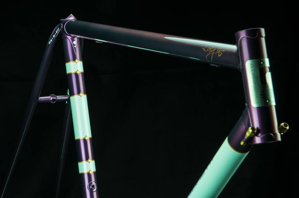 Dario Pegoretti's lugged steel Luigino bicycle frame Lakeside