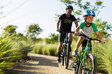 Hybrids and Comfort bikes are great for family fun!