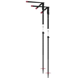 DPS Extendable Adjustable Ski Pole