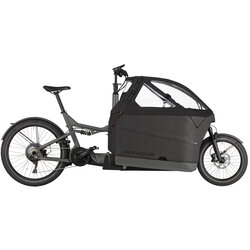 Riese & Müller Packster 70 Touring, with Double Child Seat and cover