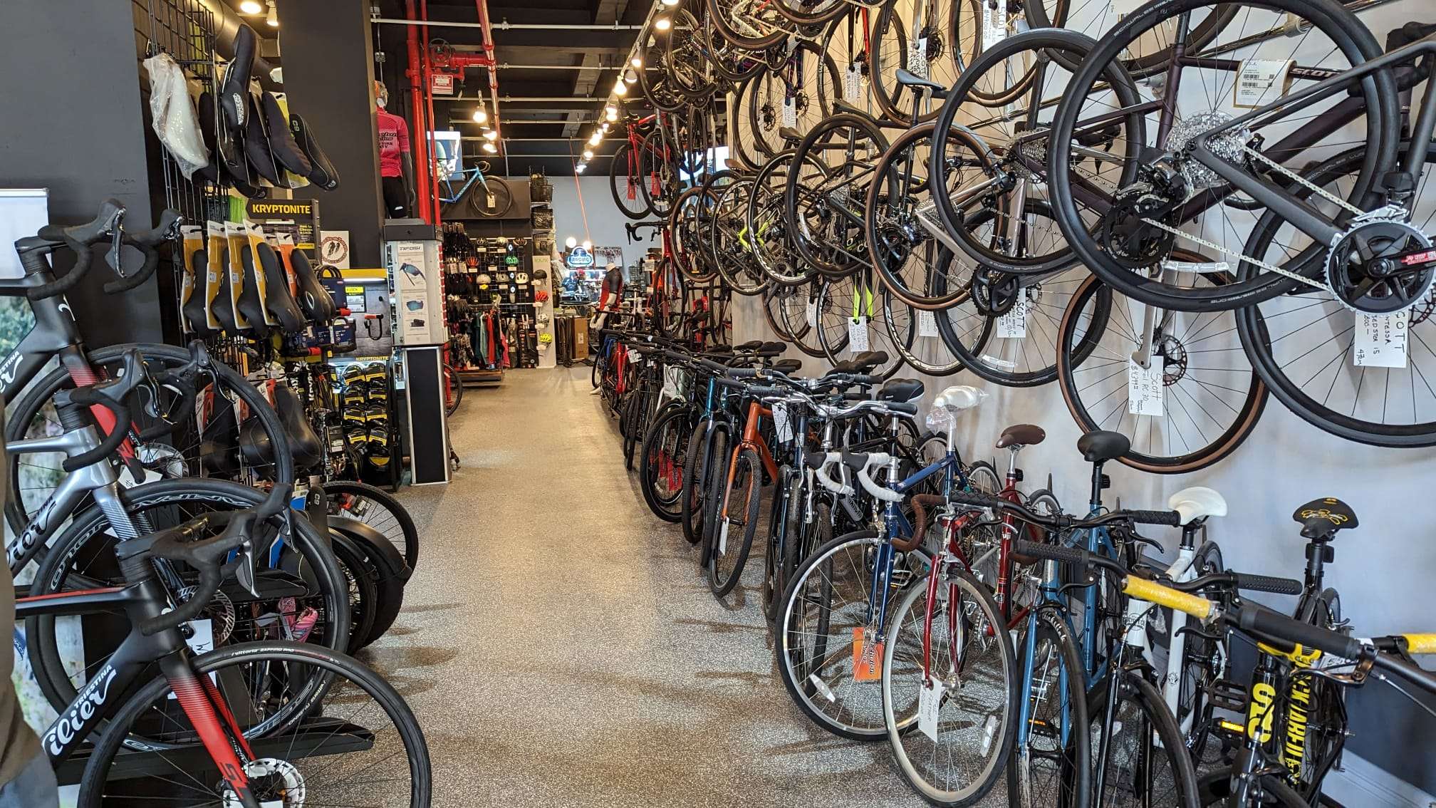 Echelon Cycles' showroom | bikes and saddles