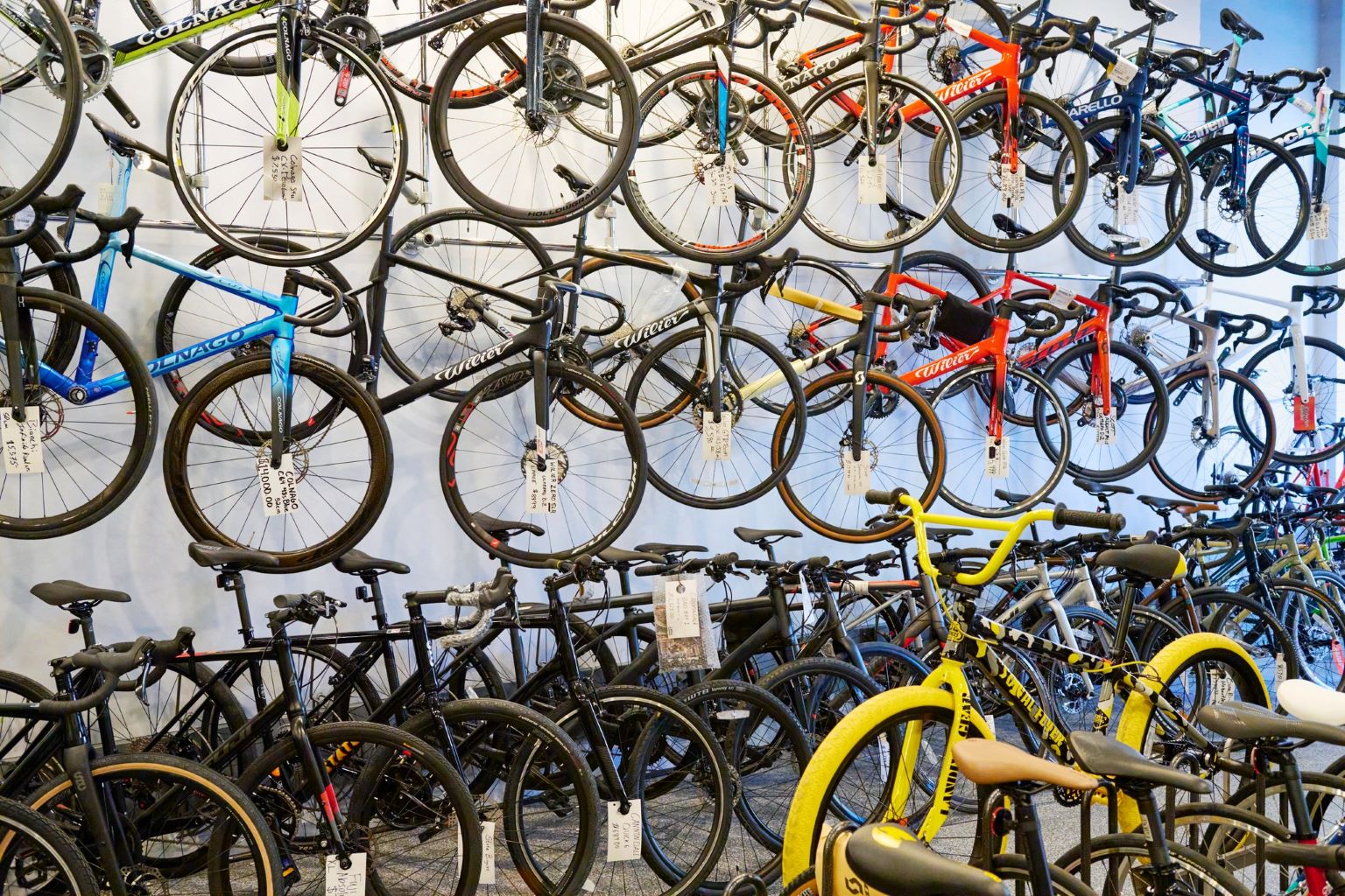 Echelon Cycles' showroom bikes
