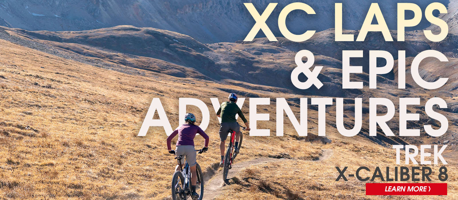 Trek X Caliber Mountain Bike