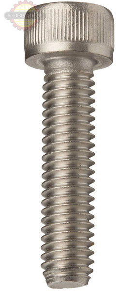  Replacement Steel Bolt