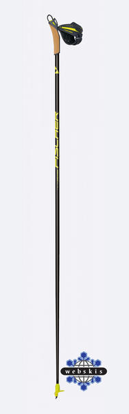 Fischer RC9 QF Pole Kit 