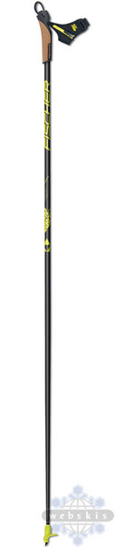 Fischer RC9 Pole Kit