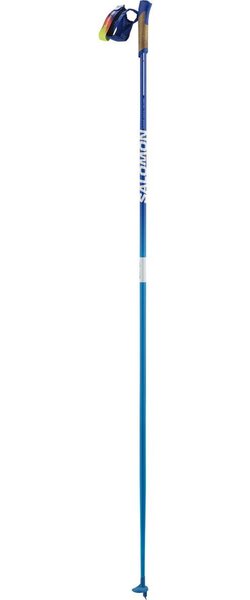 salomon carbon ski poles Polar Pro S3 White Moss, 105cm Perfect for skiers aiming to maximize their speed and efficiency Salomon MTN Carbon S3 Pole