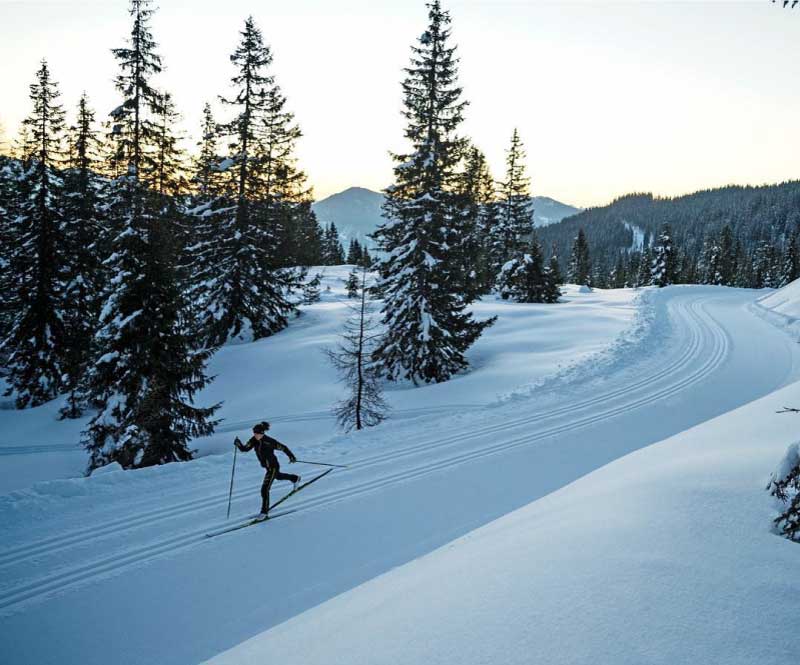 classic cross country skier on track