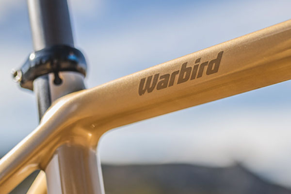 Salsa Warbird gravel bike frame