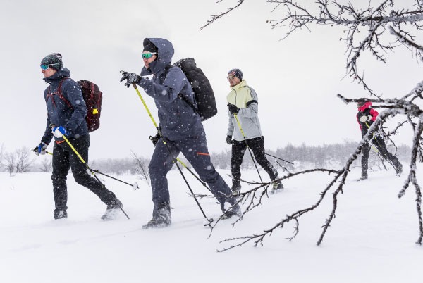 three skiers on cross country skiing track