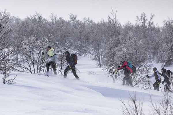 off track cross countries skiers