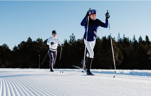 how to hold a cross country skiing pole