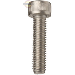  Replacement Steel Bolt