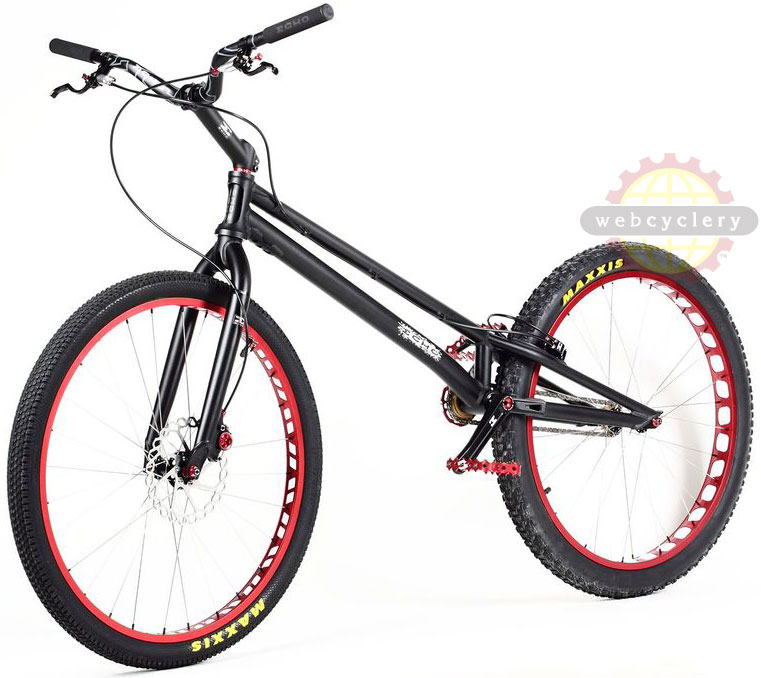 phoenix cycle echo 6