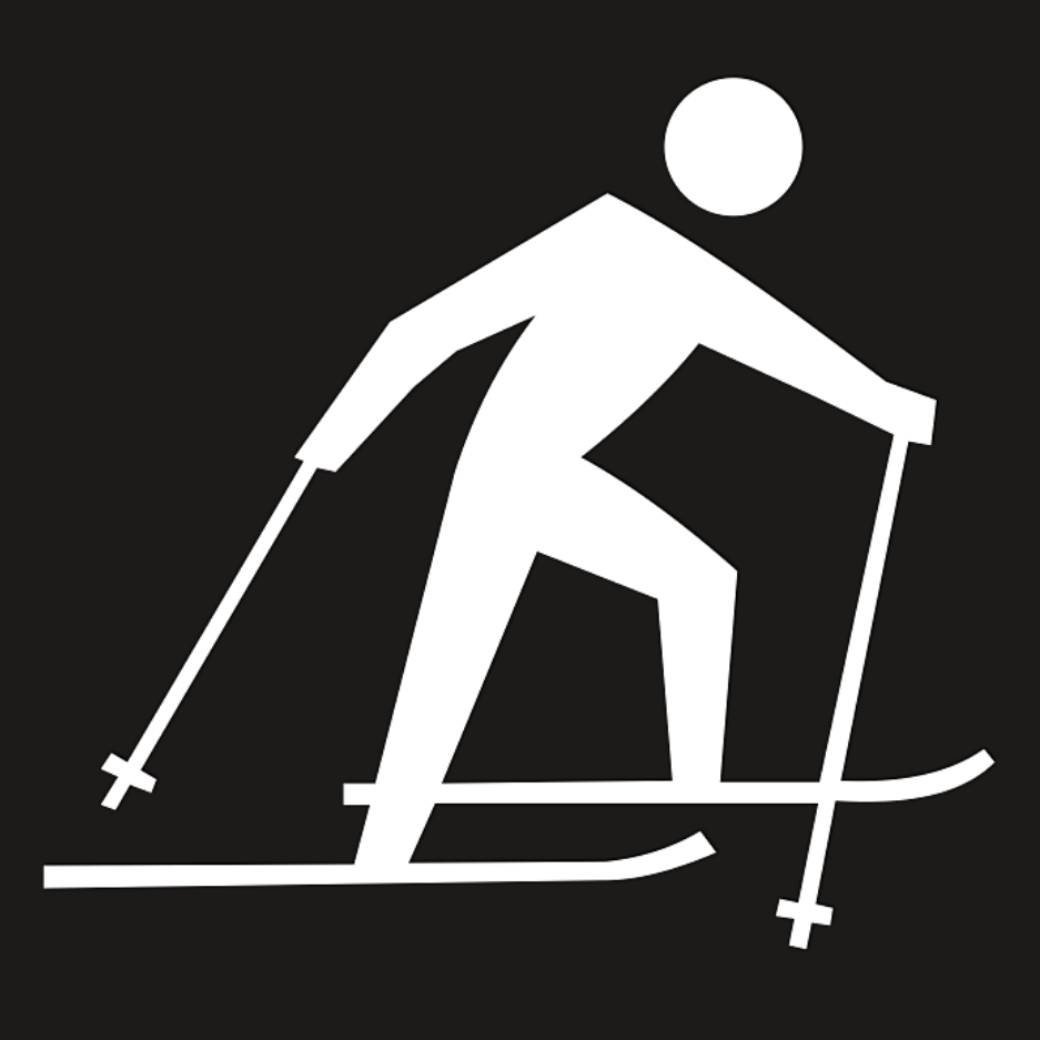 nordic ski logo