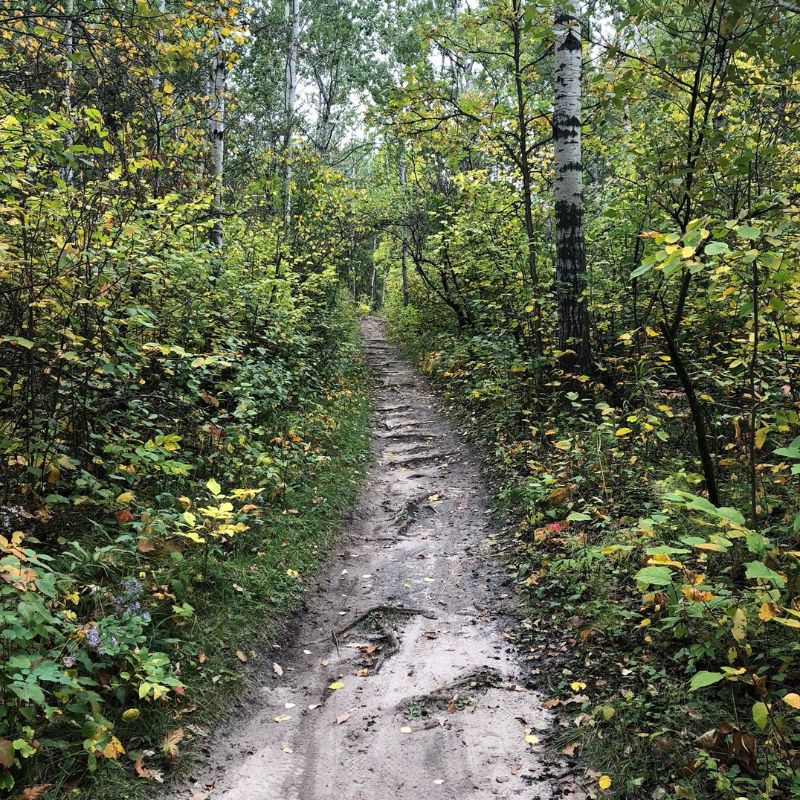 oak openings mountain bike trail