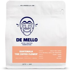 De Mello's Cofffee Roaster - Guatemala 'The Coffee Flower' - 8oz