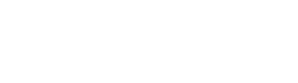 Fresh Air Experience Logo.