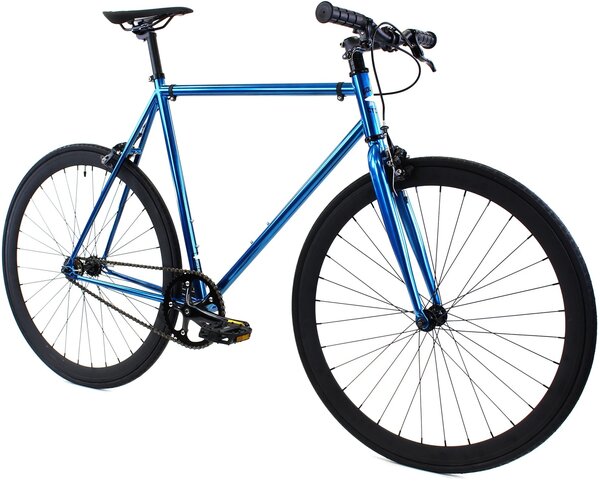 Golden Cycles Blue Jay