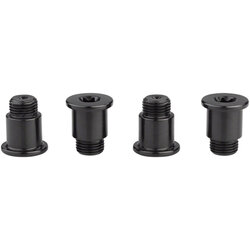 SRAM SRAM Force eTap AXS Crank Chainring Bolt Kit - For 2x, 107 BCD, Aluminum, Black, D1