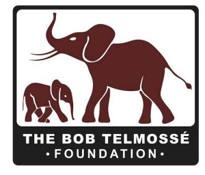 The Bob Telmosse Foundation