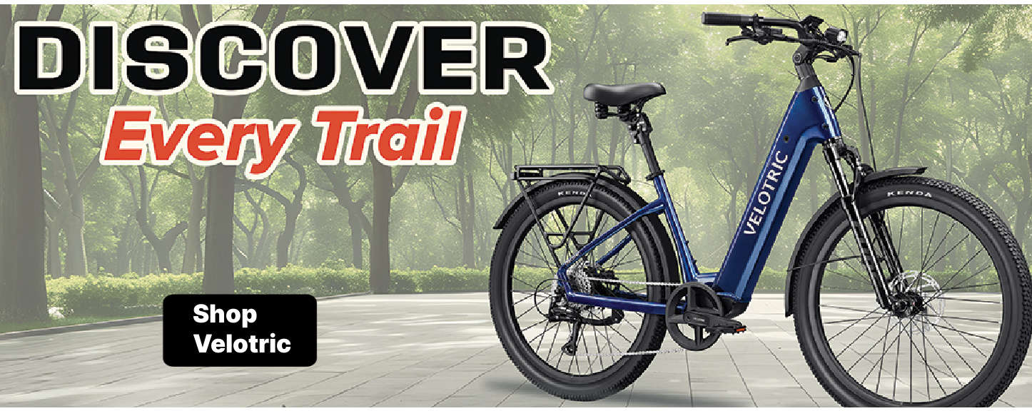 e-bike fully 750 watt Rattan LM 750 PRO Folding 750W 48V Fat Tire Electric Bike