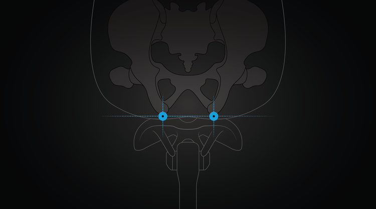 Image of pelvis in relation to pressure points for bike saddles