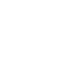 Bow Cycle