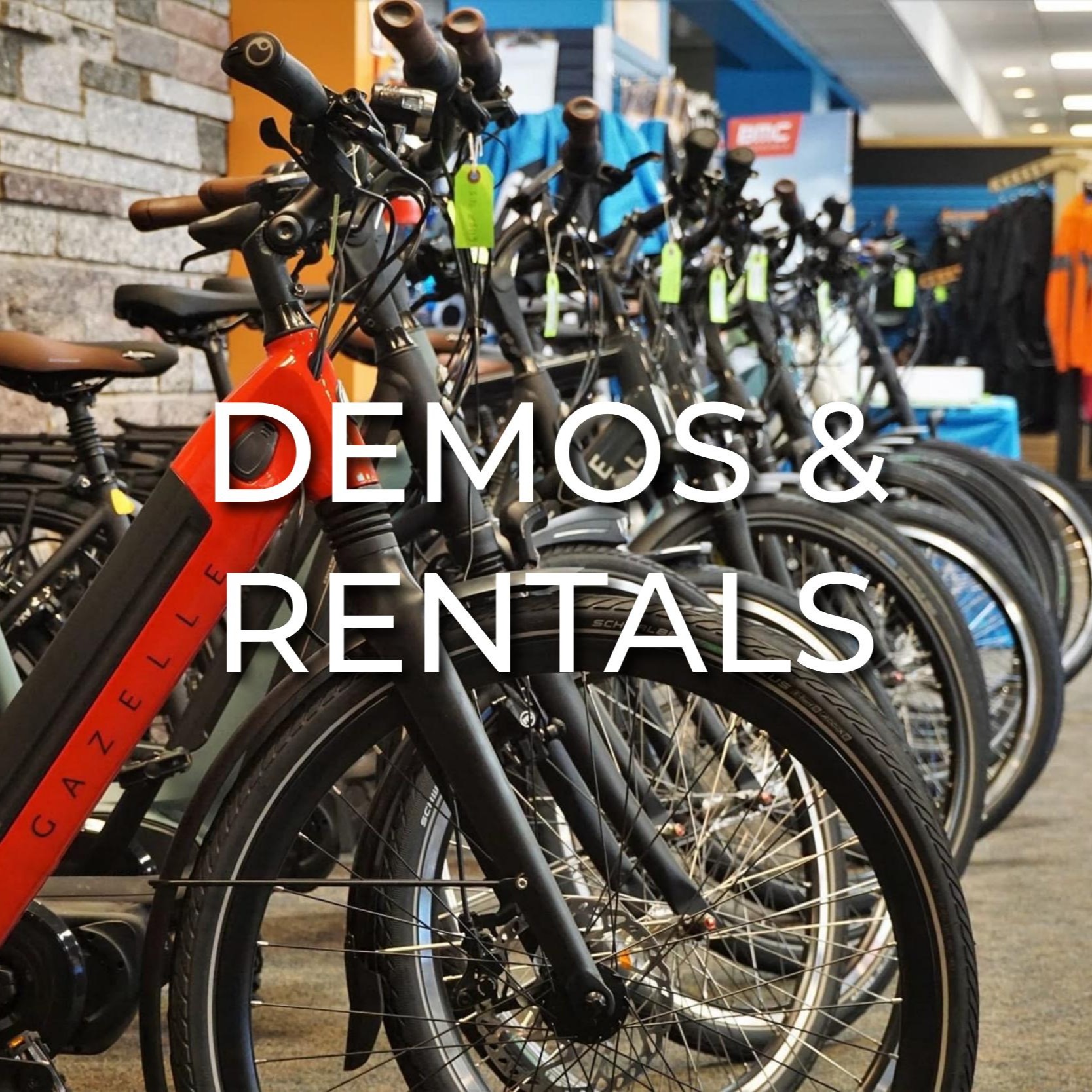 Now Bikes Local bike shop in Minneapolis, St. Paul, Arden Hills