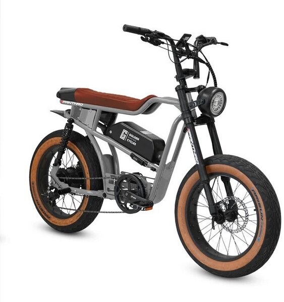 Golden Cycles PANTHRO GREY