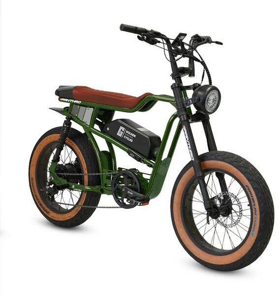 Golden Cycles PANTHRO ARMY