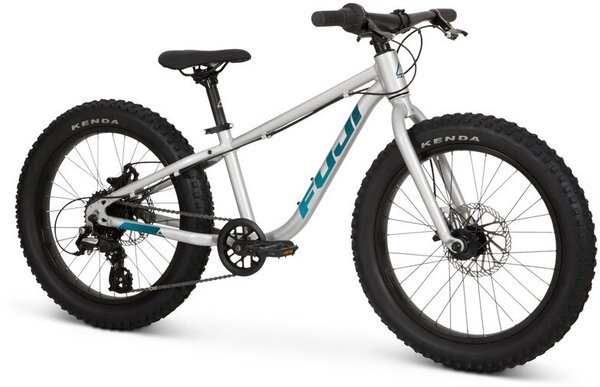 Fuji DYNAMITE 20+ SILVER