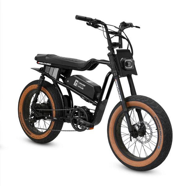 Golden Cycles PANTHRO BLACK