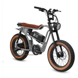 Golden Cycles PANTHRO GREY