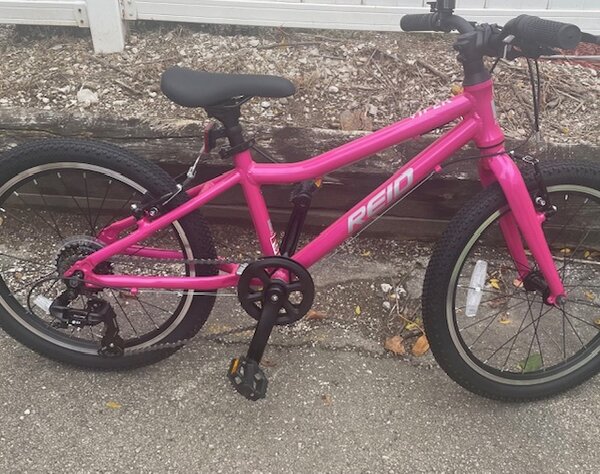 Reid Girl's Viper 20"