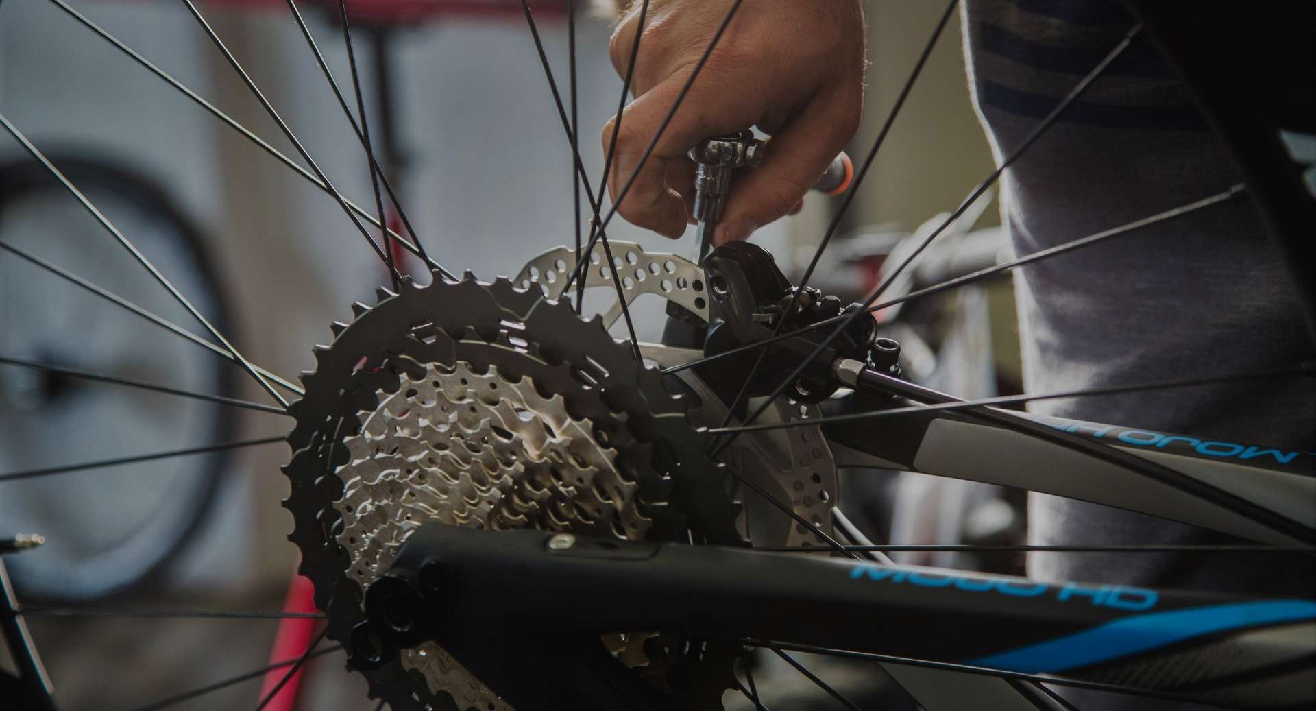 Bike Service & Repair