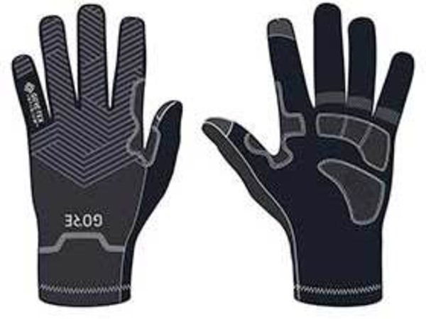 GORE C3 GTX Infinium Stretch Mid Winter Gloves