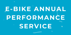 E-Bike Annual Performance Service