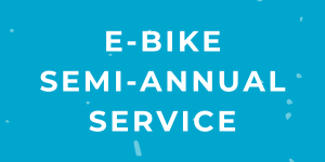 E-Bike Semi-Annual Service