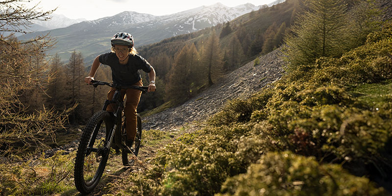 Mountain Bike Rider on a Trail